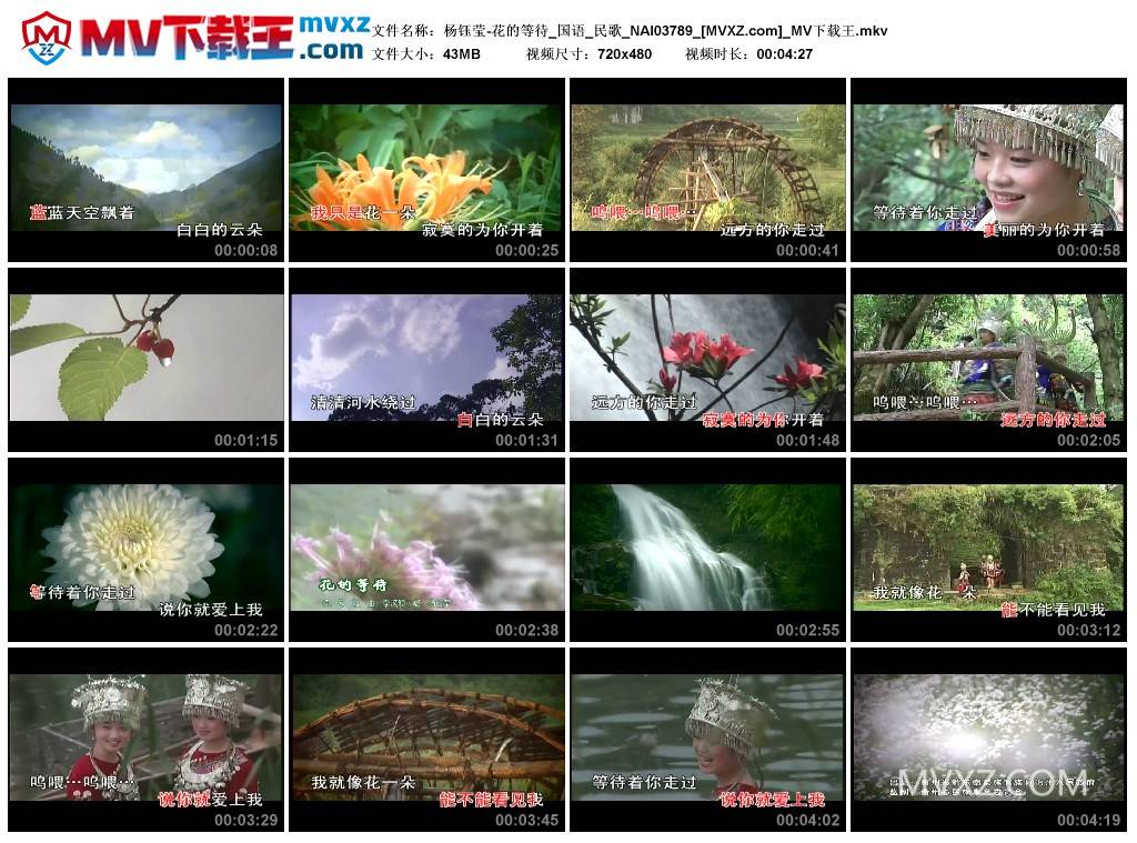 杨钰莹-花的等待_国语_民歌_NAI03789